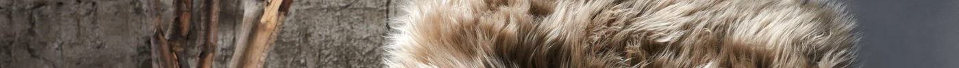 Lammfell Allergie - viel seltener als oft geglaubt
