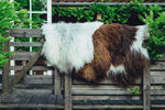 Lammfell waschen - welches Waschmittel?