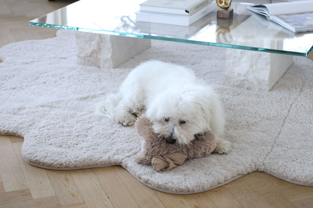 Hund liegt auf einem Kurzhaar Lammfell