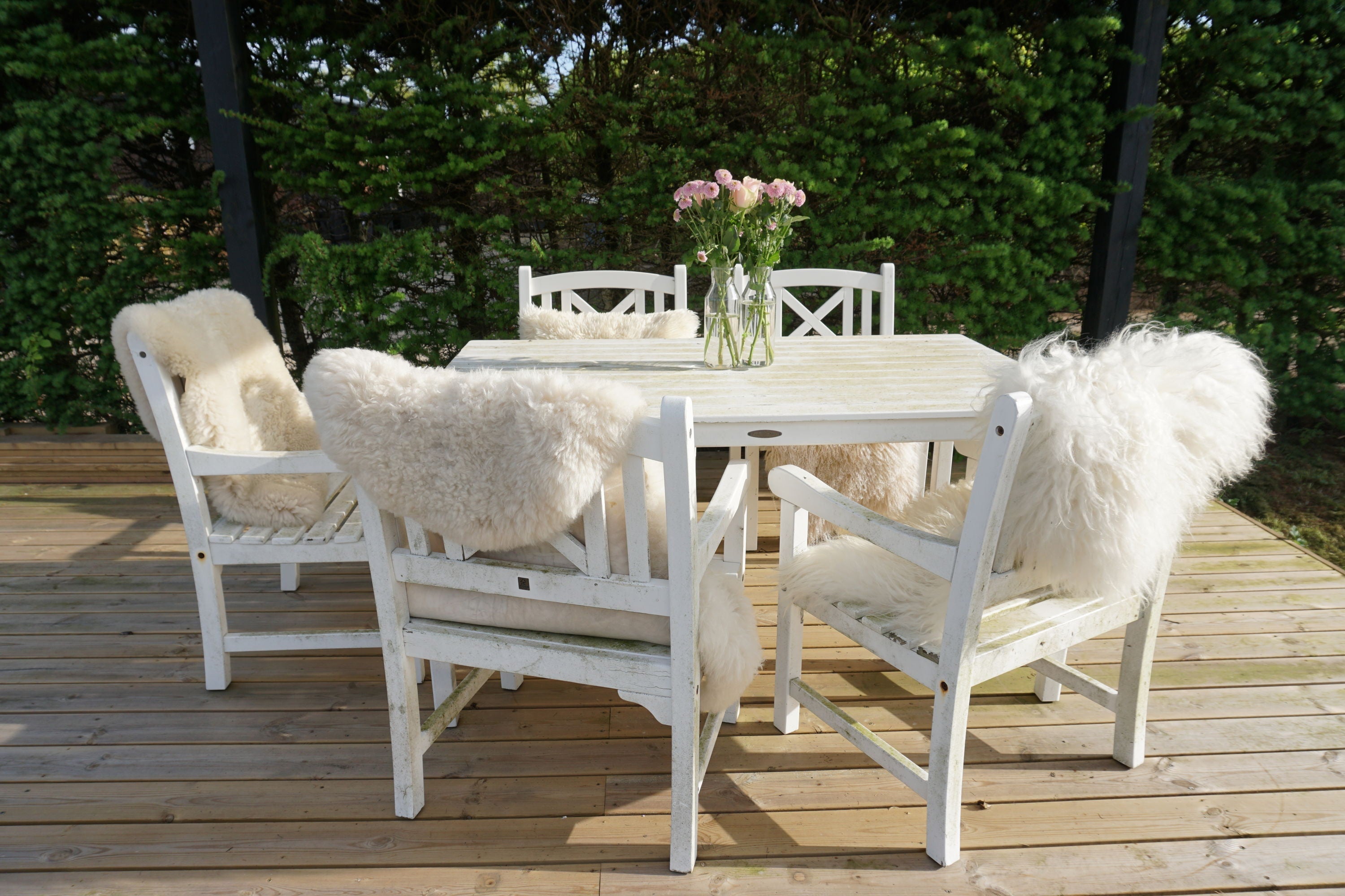 Garten & Terrasse