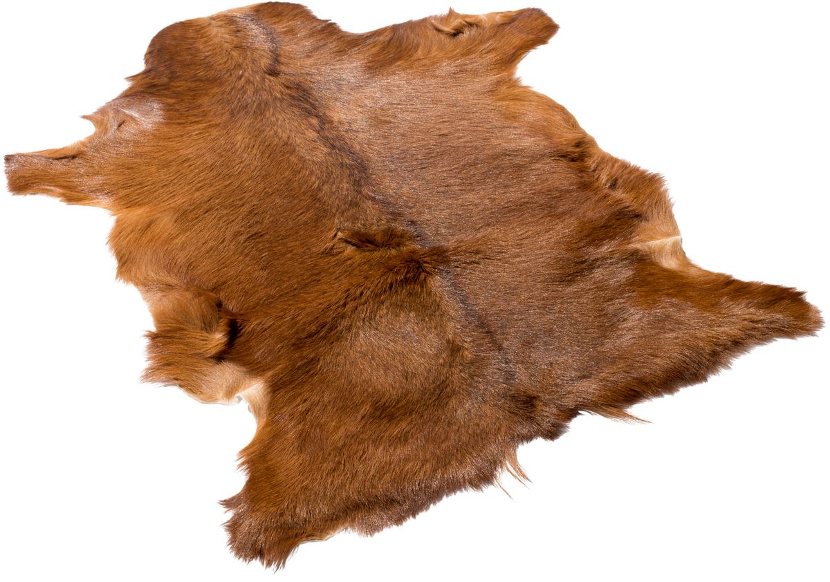 Ziegenfell Premium | Tibet | 90x60 cm Andere Felle | Lammfellhaus.at