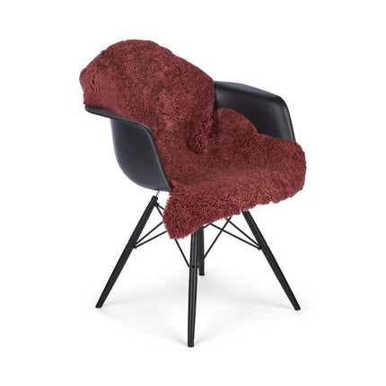 Merino Premium Lammfell | Kurzhaar | Neuseeland | 100x60 cm Lammfelle | Lammfellhaus.at