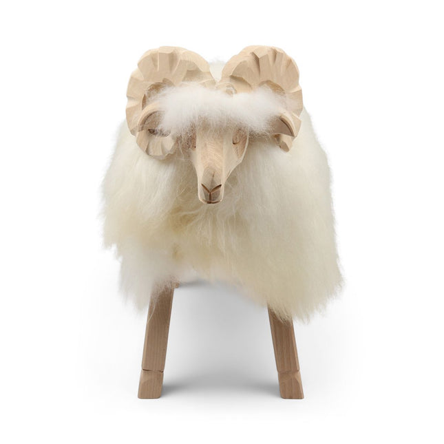 Alpinschaf | Drei Größen