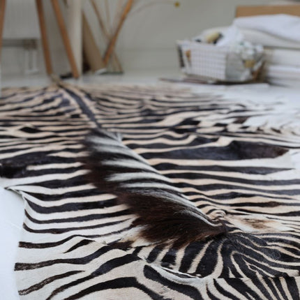 Zebrafell | Südafrika  Zebra
