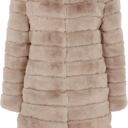 Claire Mantel | Rex Kaninchen