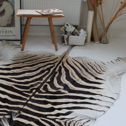 Zebrafell | Südafrika  Zebra